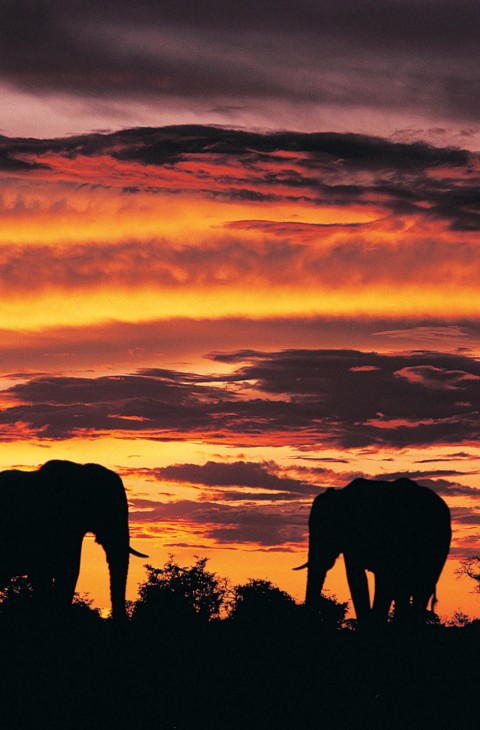 Botswana Tourist Attractions | Sun International